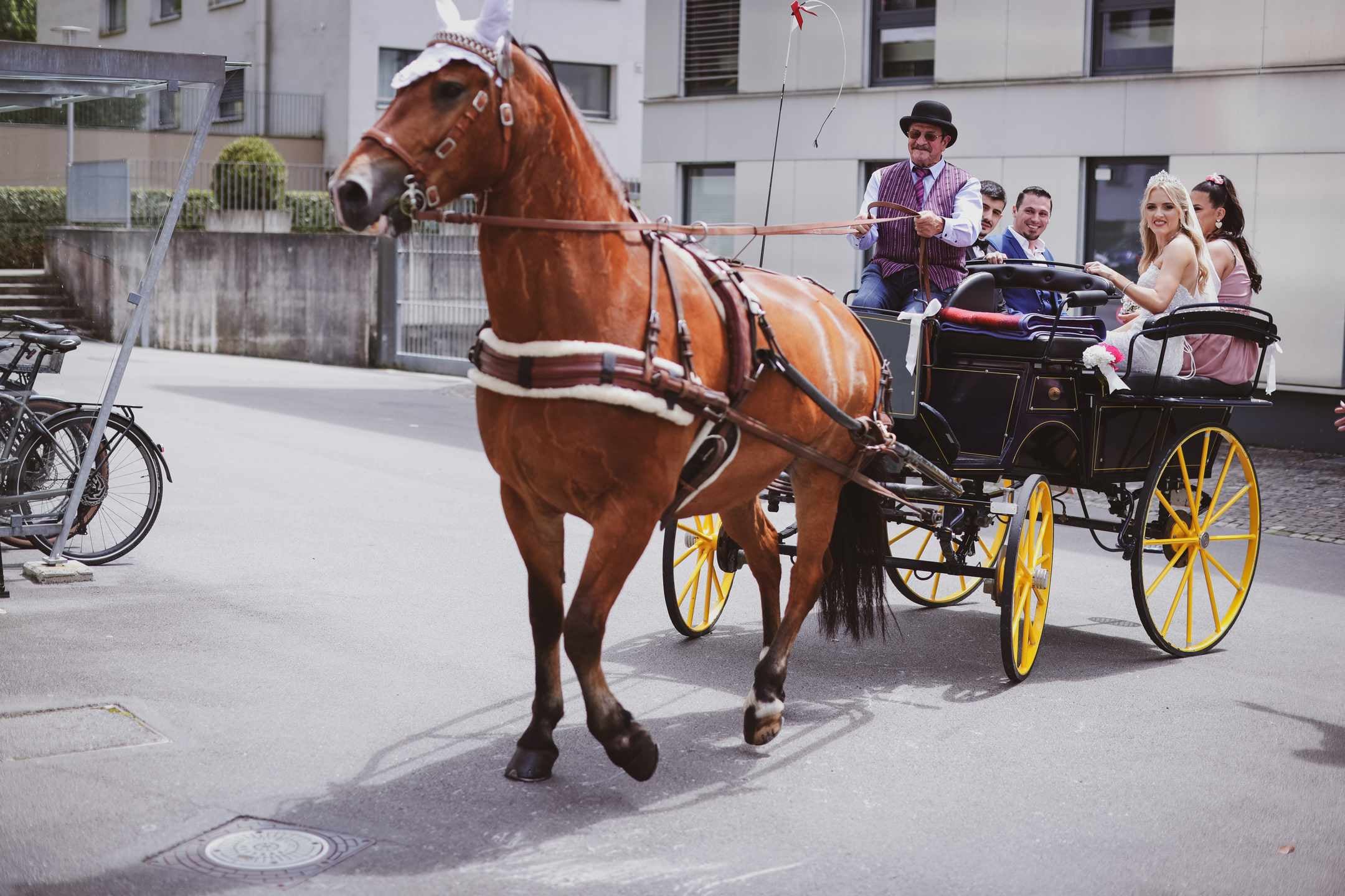 Jasmine & Lon - Foto 36